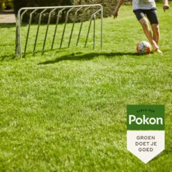 Pokon Graszaad Inzaai 9 Pokon Graszaad Inzaai -Dreft Winkel 1054919 4