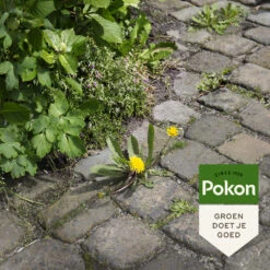 Pokon Tegen Onkruid Spray -Dreft Winkel 1054920 4