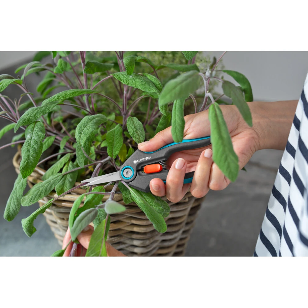 Gardena FreshCut FreshCut 8 Gardena FreshCut FreshCut - Afbeelding 6