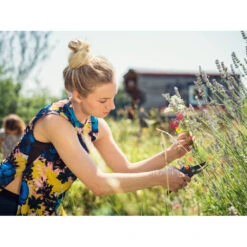 Gardena Comfort Snoeischaar Comfort 11 Gardena Comfort Snoeischaar Comfort -Dreft Winkel 1058071 4