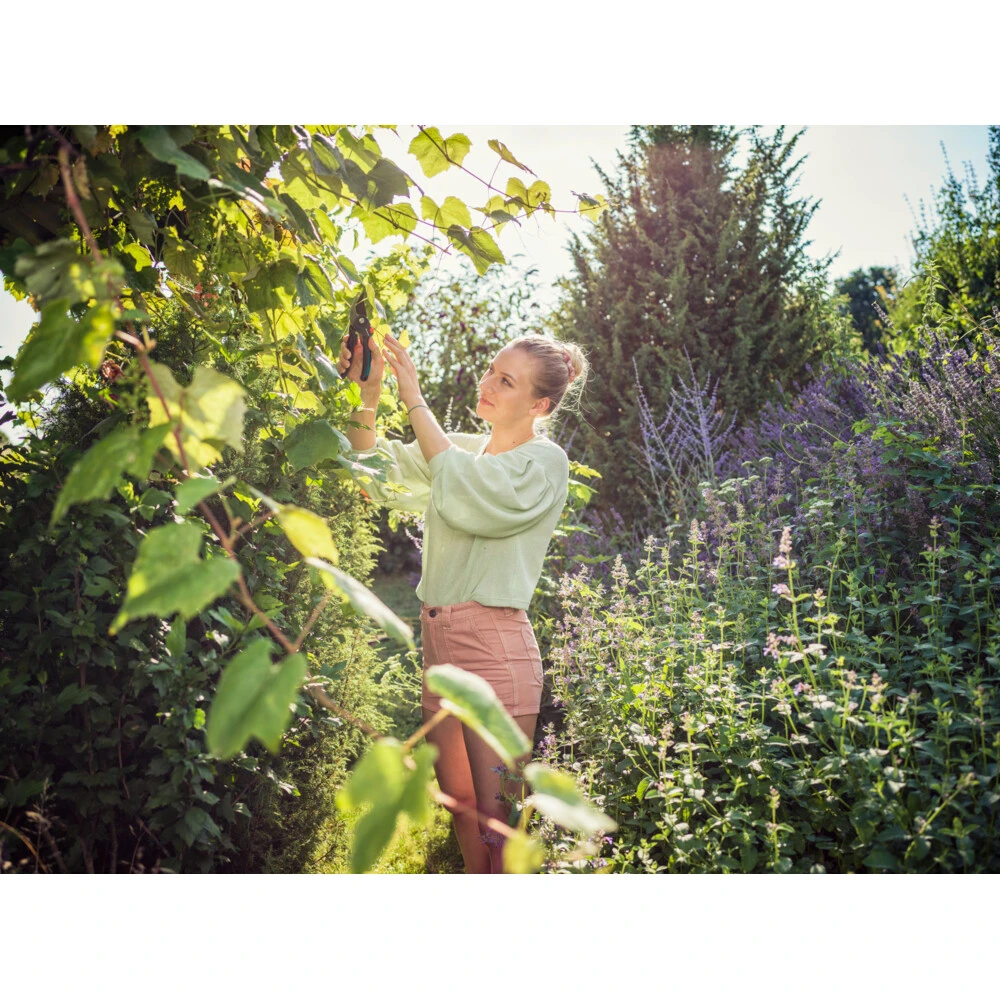 Gardena Comfort Snoeischaar Comfort 7 Gardena Comfort Snoeischaar Comfort - Afbeelding 5