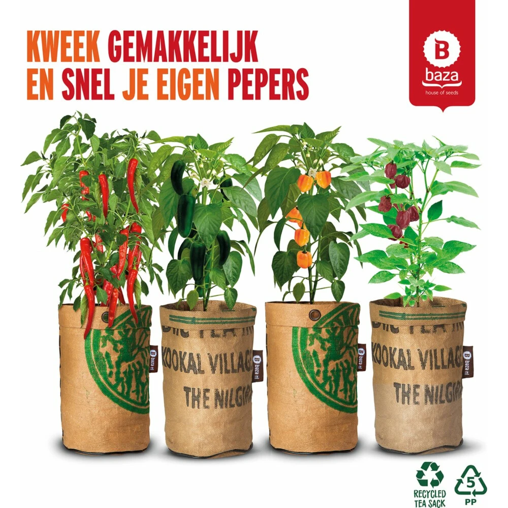 Baza Stadstuin Hete Peper Kweek Pakket 3 Baza Stadstuin Hete Peper Kweek Pakket