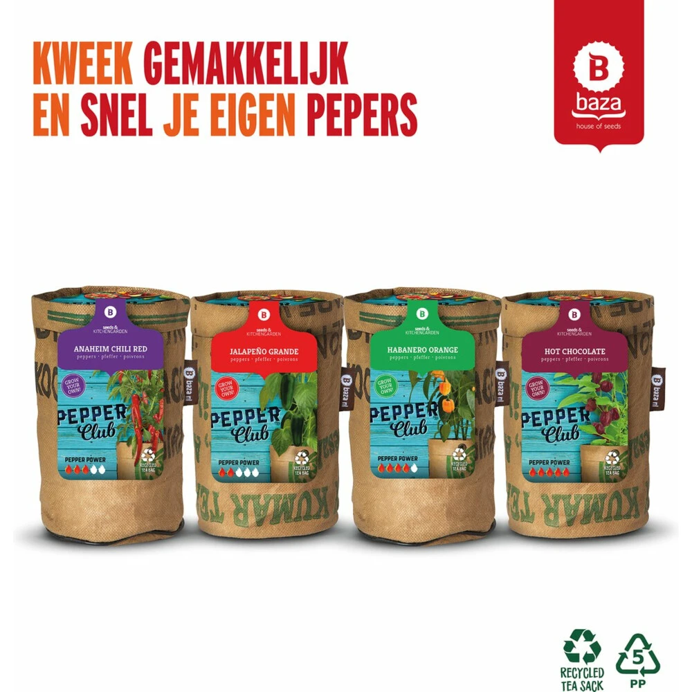 Baza Stadstuin Hete Peper Kweek Pakket 4 Baza Stadstuin Hete Peper Kweek Pakket - Afbeelding 2