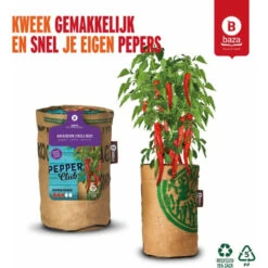 Baza Stadstuin Hete Peper Kweek Pakket 10 Baza Stadstuin Hete Peper Kweek Pakket -Dreft Winkel 1066960 3