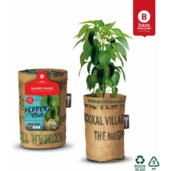 Baza Stadstuin Hete Peper Kweek Pakket 11 Baza Stadstuin Hete Peper Kweek Pakket -Dreft Winkel 1066960 4