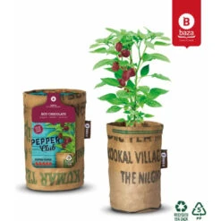 Baza Stadstuin Hete Peper Kweek Pakket 12 Baza Stadstuin Hete Peper Kweek Pakket -Dreft Winkel 1066960 5