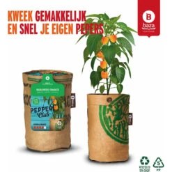 Baza Stadstuin Hete Peper Kweek Pakket 13 Baza Stadstuin Hete Peper Kweek Pakket -Dreft Winkel 1066960 6