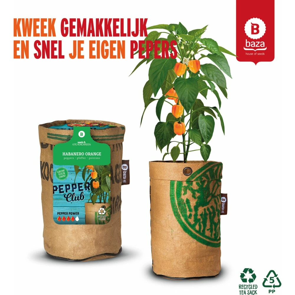 Baza Stadstuin Hete Peper Kweek Pakket 8 Baza Stadstuin Hete Peper Kweek Pakket - Afbeelding 6