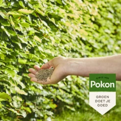 Pokon Beuken & Hagen Mest -Dreft Winkel 1074564 4