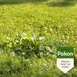 Pokon Onkruid Weg Voor 120 M2 10 Pokon Onkruid Weg Voor 120 M2 -Dreft Winkel 1074570 4