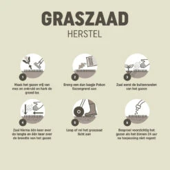 Pokon Graszaad Herstel 9 Pokon Graszaad Herstel -Dreft Winkel 1074574 3