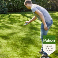 Pokon Graszaad Schaduw 10 Pokon Graszaad Schaduw -Dreft Winkel 1074577 4