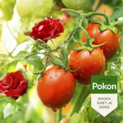 Pokon Tegen Insecten Spray Polysect GYO Spray Biologisch -Dreft Winkel 1074582 4