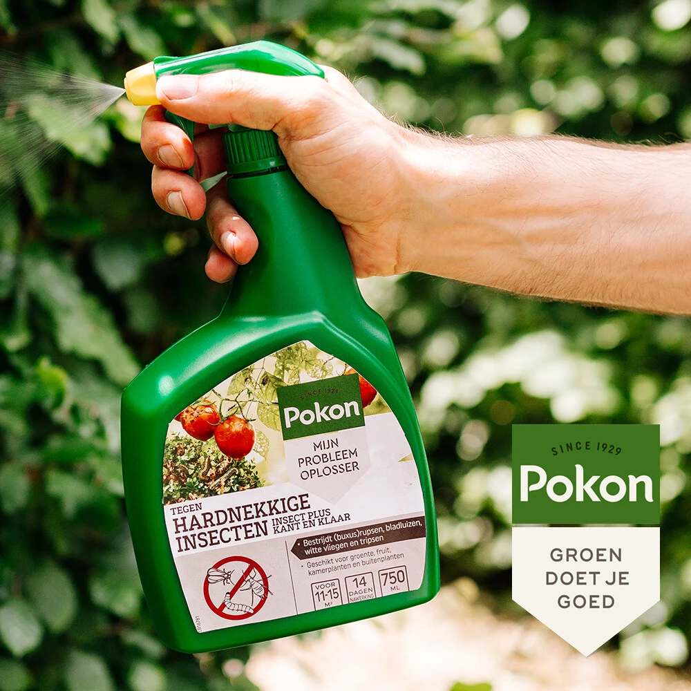 Pokon Tegen Insecten Hardnekkige Spray Insect Plus 6 Pokon Tegen Insecten Hardnekkige Spray Insect Plus - Afbeelding 4