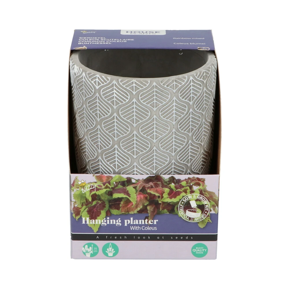 Buzzy House Plants Hangende Plantpot Met Coleus Zaden 4 Buzzy House Plants Hangende Plantpot Met Coleus Zaden - Afbeelding 2