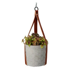 Buzzy House Plants Hangende Plantpot Met Coleus Zaden 10 Buzzy House Plants Hangende Plantpot Met Coleus Zaden -Dreft Winkel 1075343 3