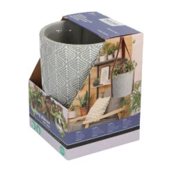 Buzzy House Plants Hangende Plantpot Met Coleus Zaden 11 Buzzy House Plants Hangende Plantpot Met Coleus Zaden -Dreft Winkel 1075343 4