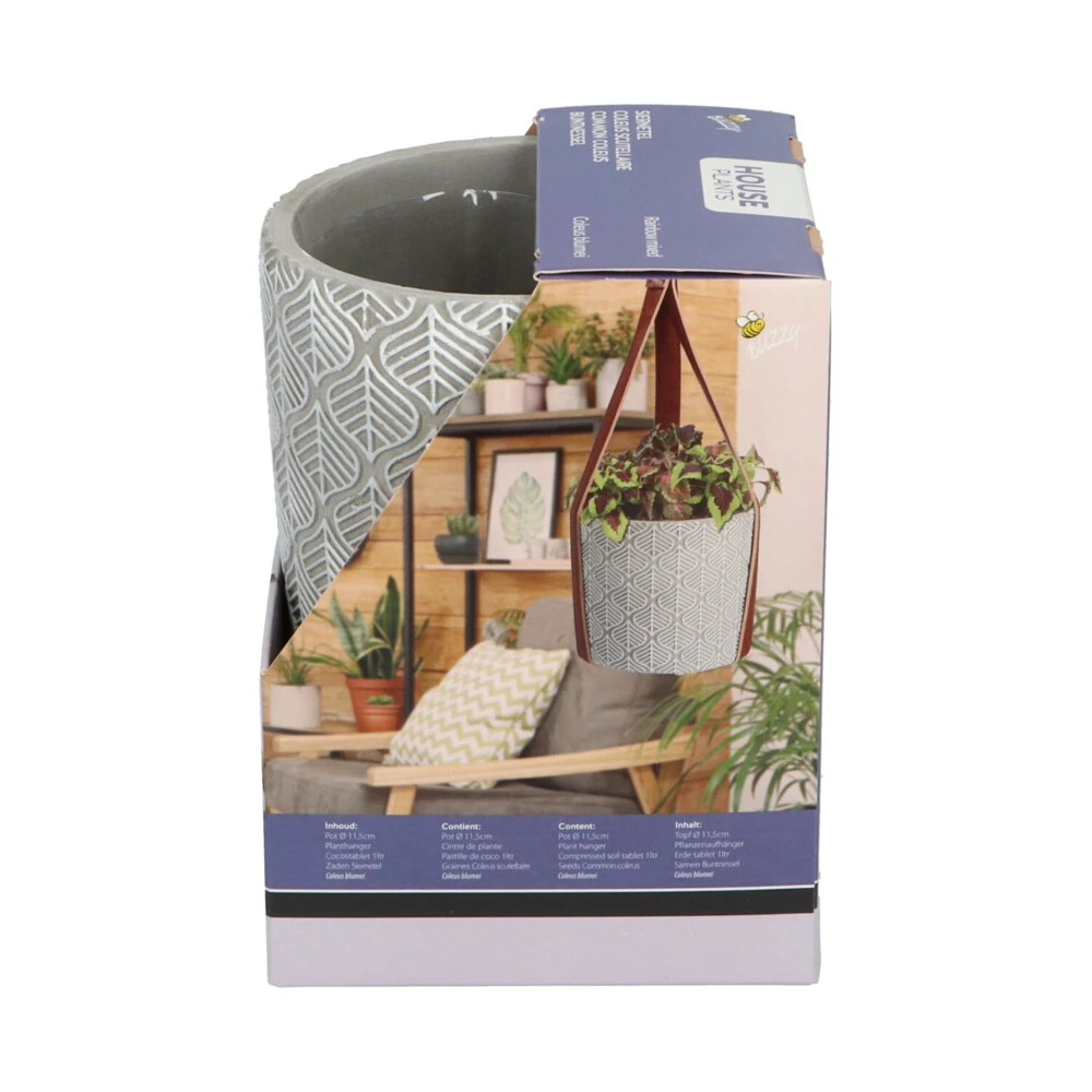 Buzzy House Plants Hangende Plantpot Met Coleus Zaden 7 Buzzy House Plants Hangende Plantpot Met Coleus Zaden - Afbeelding 5