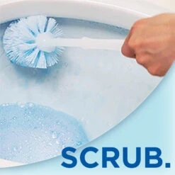 6x WC Eend Ontkalker Nr. 1 -Dreft Winkel 983672 3