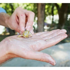 6x Seepje Superschillen Wasmiddel Zomer Vakantie Geur 5 6x Seepje Superschillen Wasmiddel Zomer Vakantie Geur -Dreft Winkel 986705 2