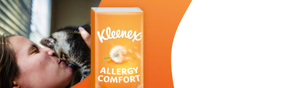 Voorkant -Dreft Winkel z6316033309235 858c82ab1480610db92946ececd946ef